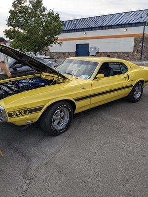 Mustang GT 500 fastback