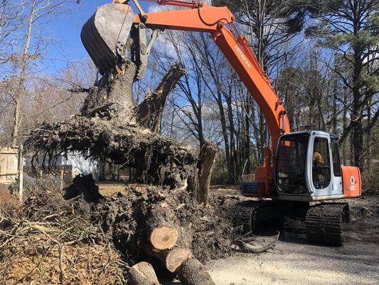 Trees-R-Us always comes to the job site with the right equipment to get the job done