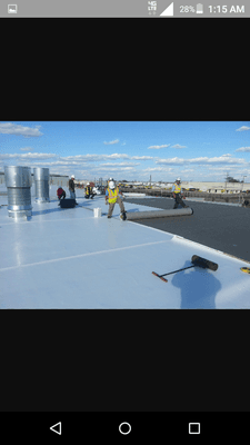 TPO Roof