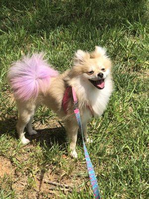 After her groom.