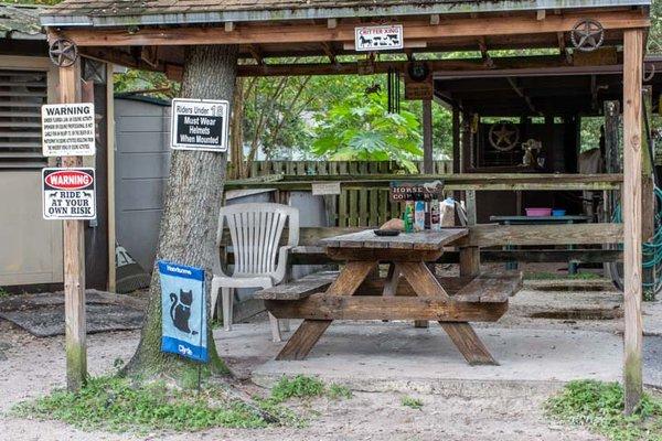 Our barn area resting spot