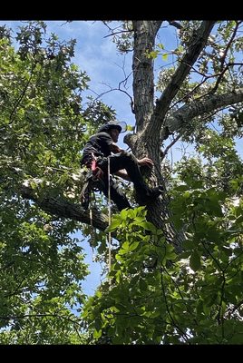 Mallard Property Maintenance