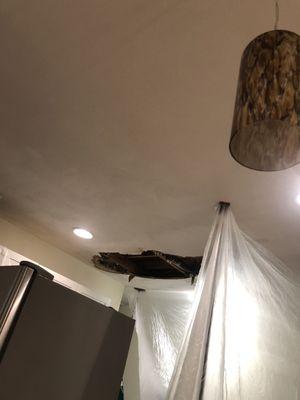 Ceiling caved in.