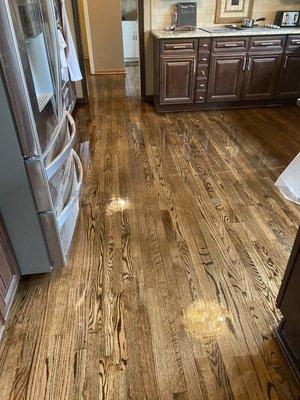 Refinished Hardwood Flooring Walnut Stain with High-Gloss Polyurethane Finish