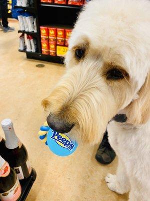 Woof woof! Some pawty went shopping!