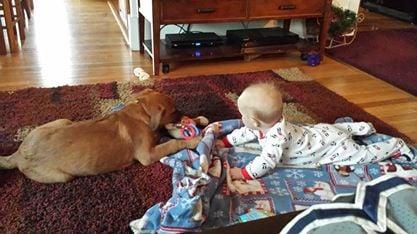 Pets and Babies, no problem, leave the mess to us!