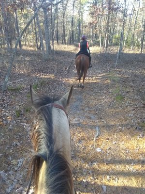 One hour trail ride for 2 people.  $65