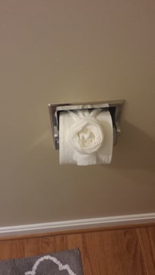 Rose tp