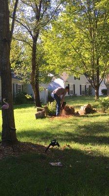 Log cutting