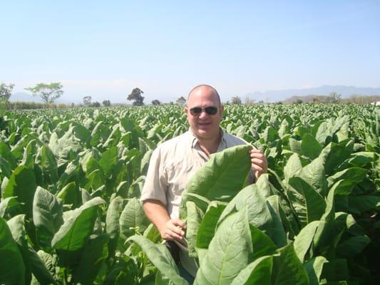 Rocky Patel Cigar Factory Tour with Christopher Mey in the sun grown tobacco field.