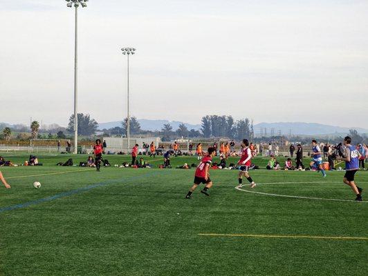 Petaluma City Sports Complex