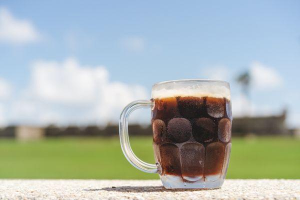 Local beer on draft and a view of the Castillo de San Marcos from our front patio!