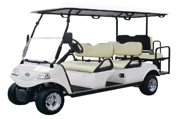 6 Passenger Evolution Golf Cart Rental