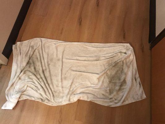 Towel used to clean the floor.  Took two towels to get it half way clean.