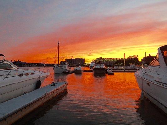 The Yards Marina at sunset with DC's baseball stadium, National's Park in the background