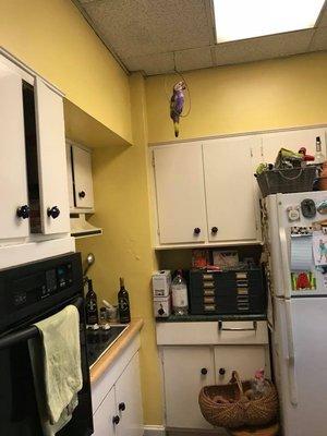 Before picture of a kitchen whose owner thought could never be fixed!