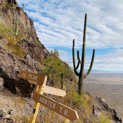 Trail signs