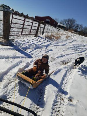 It's not all work at AH Farms! Snow means fun!!