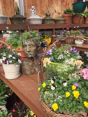 Elegant blooming baskets fill the entryway to Sunnyfield's flowering greenhouse.