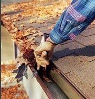 We Provide Gutter Cleaning, Gutter Maintenance, Gutter Repair, Commercial Rain Gutter Cleaning, Window Washing,Window Cleaning!