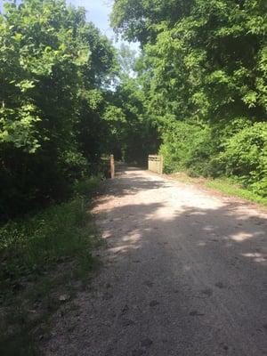 4.75 miles east of Katy bike rentals... Canopy of trees :-)