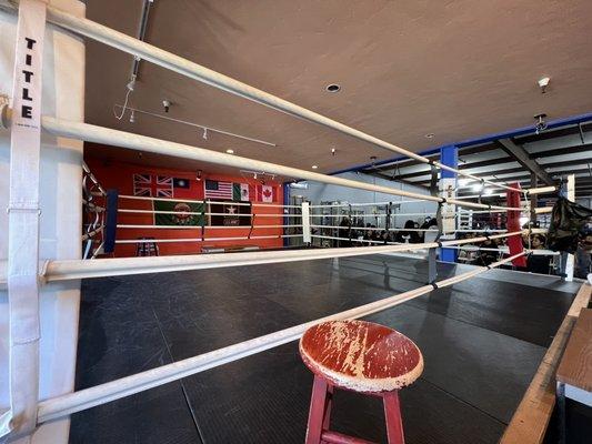 Boxing ring