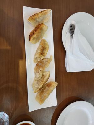 Fried Dumplings