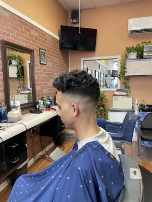 Curly Top with Fade