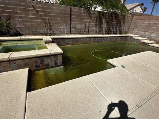 Condition of pool the day after they told me someone was at the property to service the pool