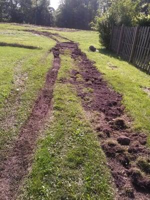 This is there work. Bobcat in the backyard nice !!!!!!!!!