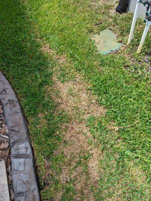 Can you pay $120 for service? You expect the grass to be greens not brown and not to have to pull weeds out of it