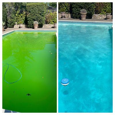 This poor pool got neglected so they call us to bring it back to pristine condition.