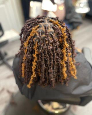 Smedium Butterfly Locs