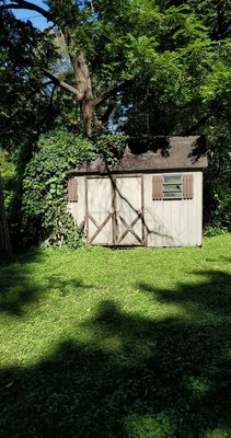 Shed/Junk Removal