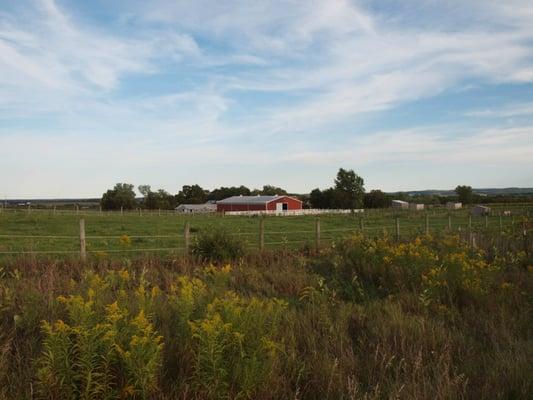 32 acres of pastures and riding