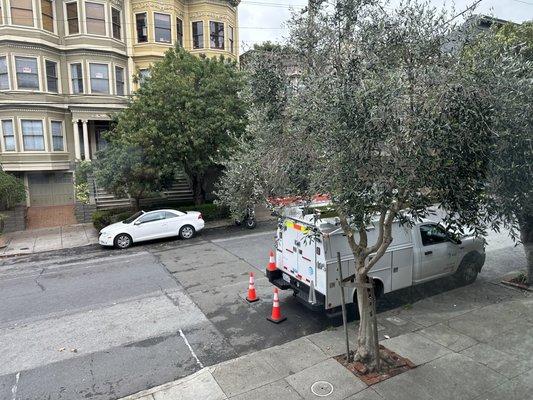 Sean Heskett Urban Arborist