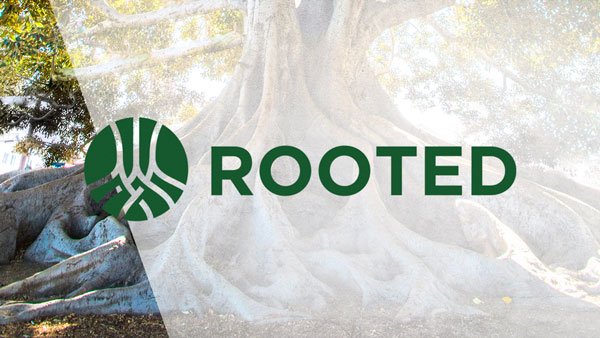 ROOTED is a 10-week experience that connects you with God, the Church, and your purpose.