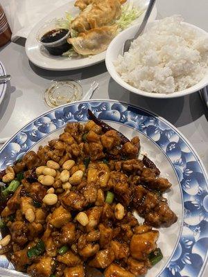 Kung pao chicken and steamed rice