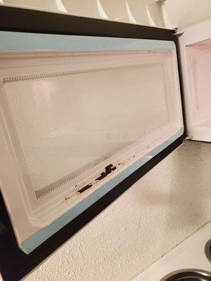 The rust on the inside door of the microwave.