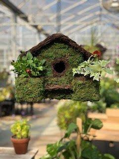 Outdoor/garden bird house with plannable area