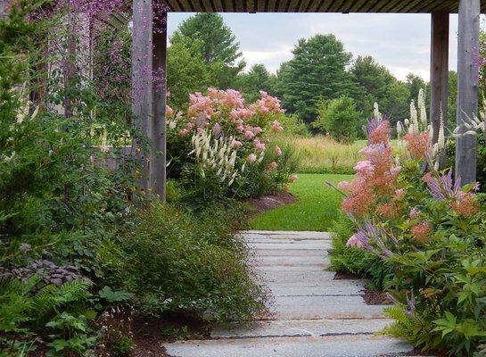 Large-scale native plant garden along pathway of recycled granite.