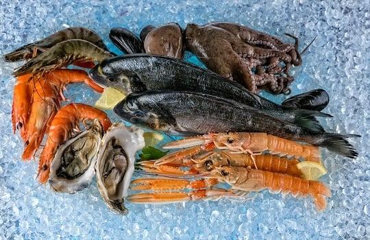 Fresh Catch Seafood