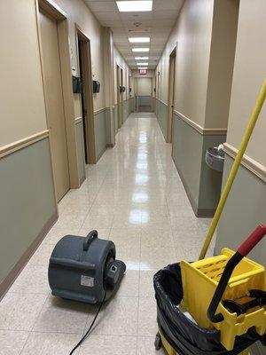 Offices cleaning, floor cleaning