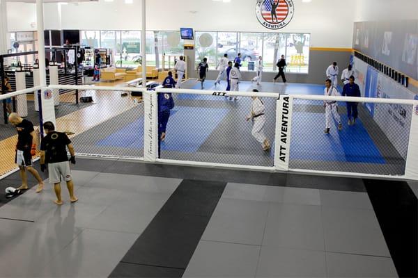 Jiu Jitsu Warm Ups.