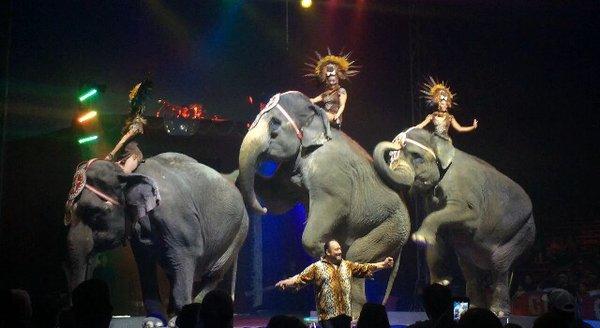 The elephants were the finale!