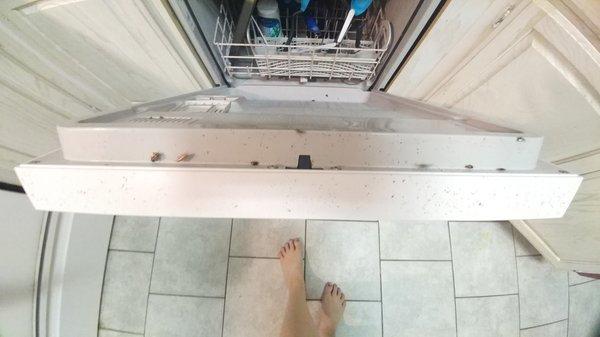 Every time I open the dishwasher,roaches,disgusting