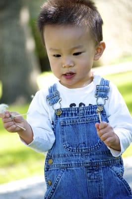 Dandelions are always fun.