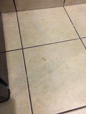 Disgusting floors