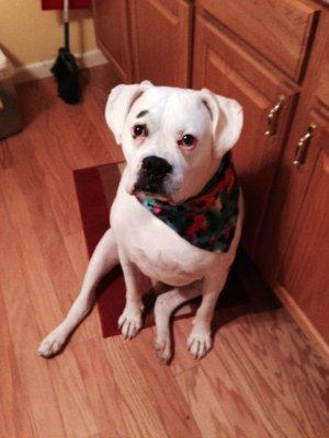 Baby boy . Waiting for a treat