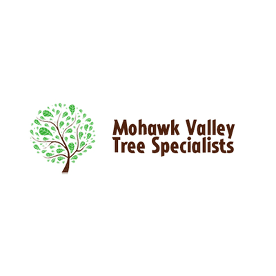 Mohawk Valley Tree Specialist's